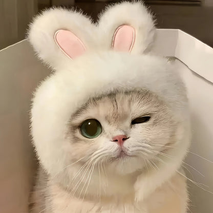 Bunny Ears Cat & Dog Pet Costume Hat | Knit Fabric Comfortable Polyester Pullover Headwear for Cats & Small Dogs