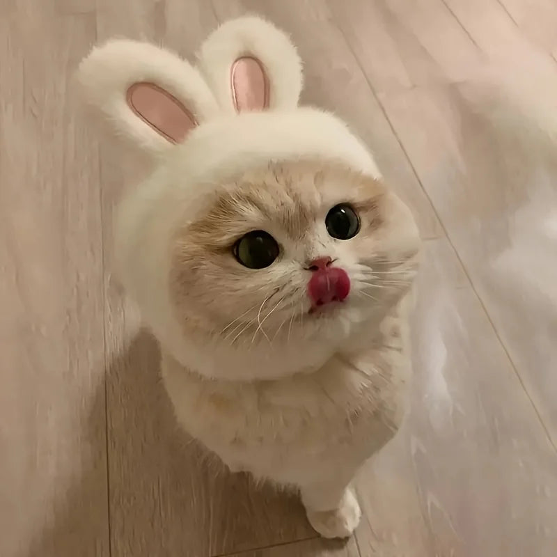 Bunny Ears Cat & Dog Pet Costume Hat | Knit Fabric Comfortable Polyester Pullover Headwear for Cats & Small Dogs