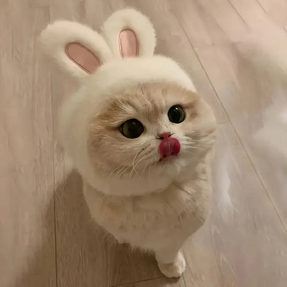 Bunny Ears Cat & Dog Pet Costume Hat | Knit Fabric Comfortable Polyester Pullover Headwear for Cats & Small Dogs