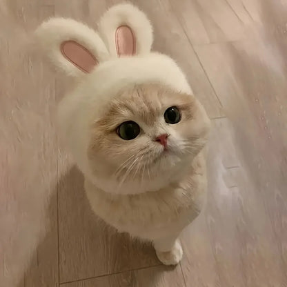Bunny Ears Cat & Dog Pet Costume Hat | Knit Fabric Comfortable Polyester Pullover Headwear for Cats & Small Dogs