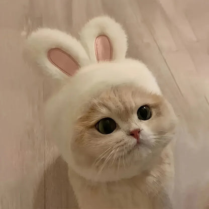 Bunny Ears Cat & Dog Pet Costume Hat | Knit Fabric Comfortable Polyester Pullover Headwear for Cats & Small Dogs