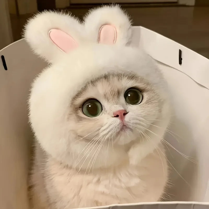 Bunny Ears Cat & Dog Pet Costume Hat | Knit Fabric Comfortable Polyester Pullover Headwear for Cats & Small Dogs