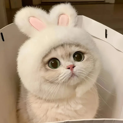 Bunny Ears Cat & Dog Pet Costume Hat | Knit Fabric Comfortable Polyester Pullover Headwear for Cats & Small Dogs