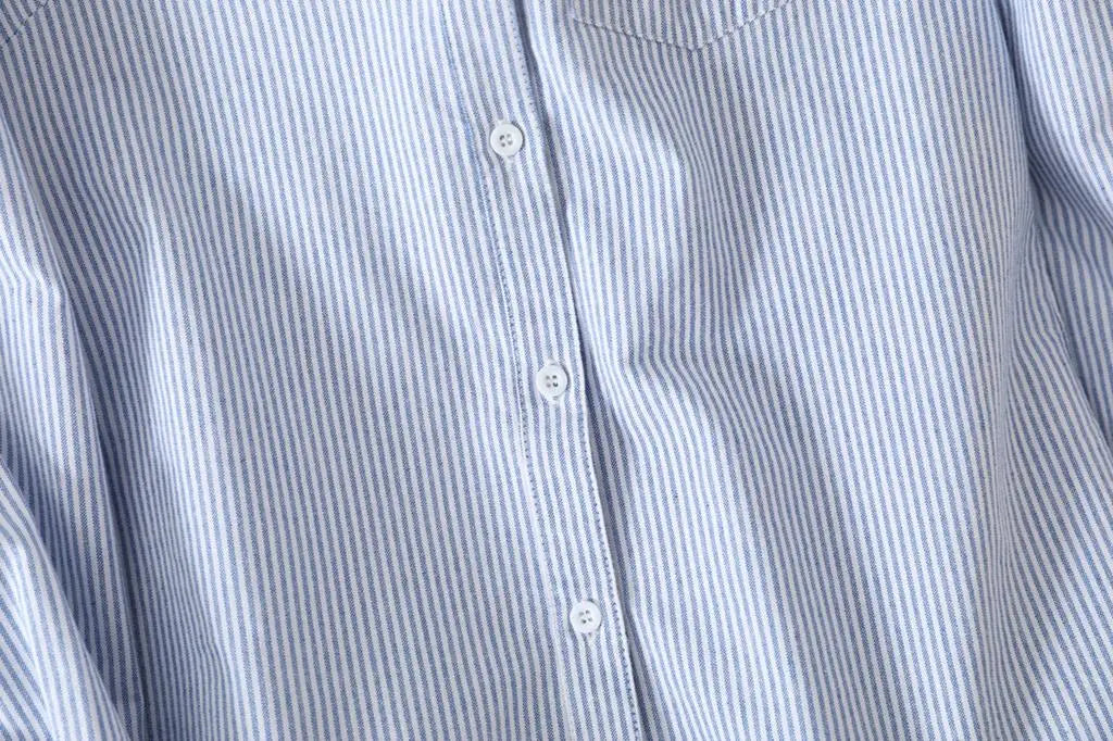 Women's Casual Cotton Oxford Shirt | Autumn Striped Blue & White Blouse & Top